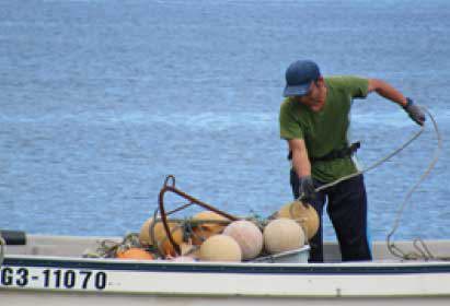 海水浴場ブイ等設置撤去業務